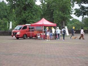 只今「地産地消マルシェ」開催中