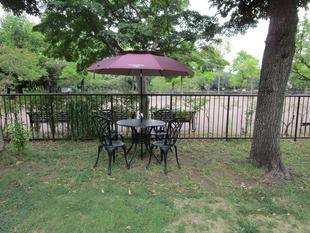 暑中見舞い申し上げます。ガーデンパラソル設置