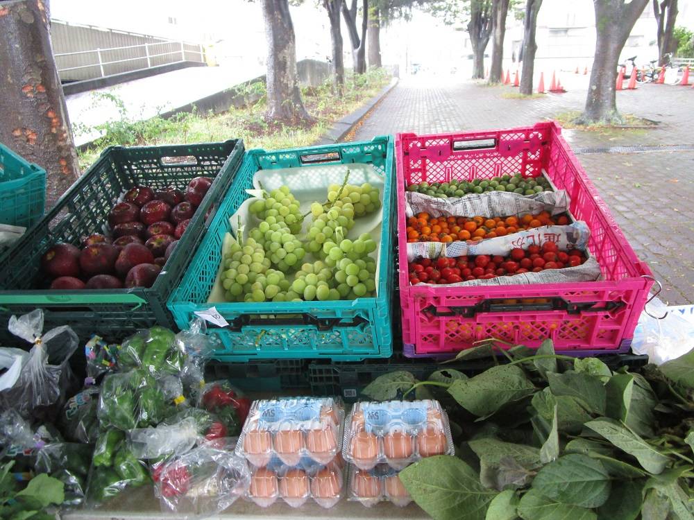 地産地消マルシェ開催しました[2025年10月11日]の写真