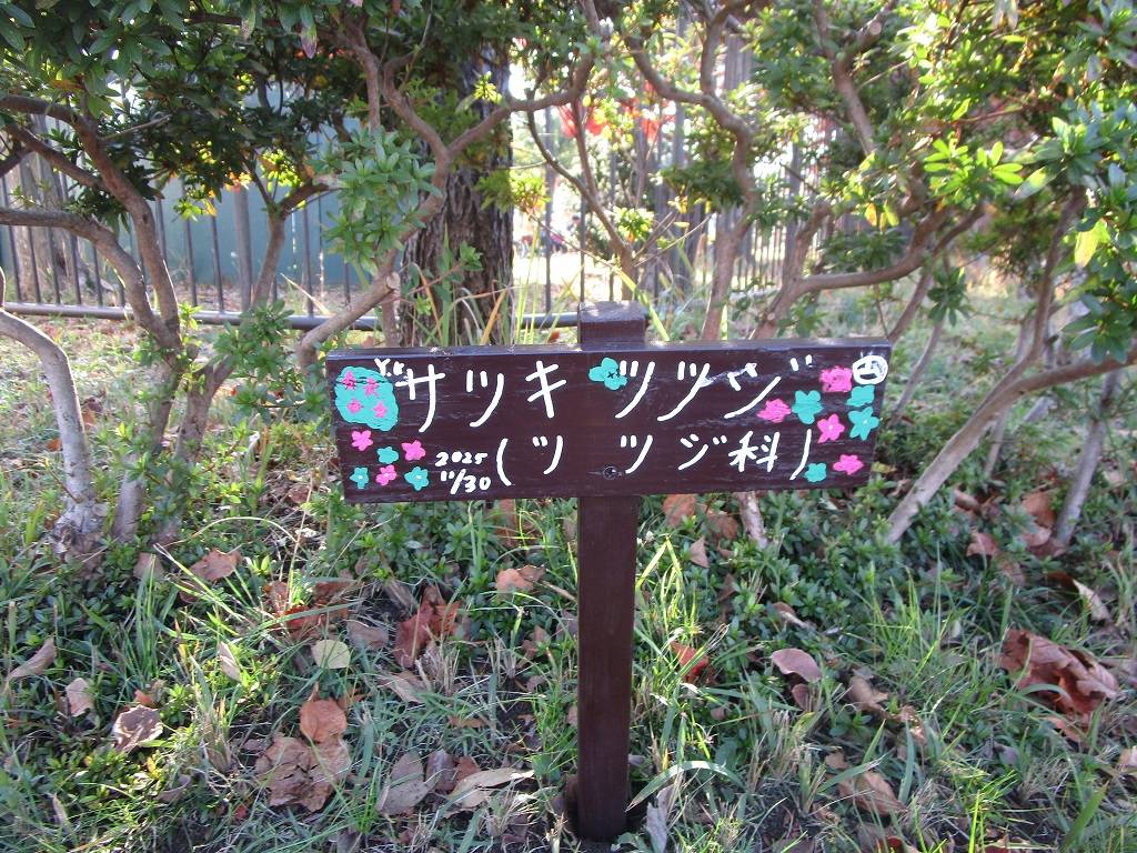  樹名板を作ろう【2025年11月30日】の写真