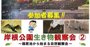 生き物観察会②開催のお知らせ【12月6日（土）】