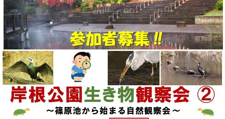 生き物観察会②開催のお知らせ【12月6日（土）】の写真