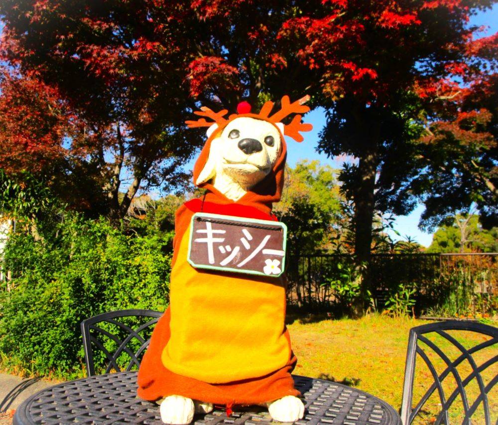 自然界隈の写真