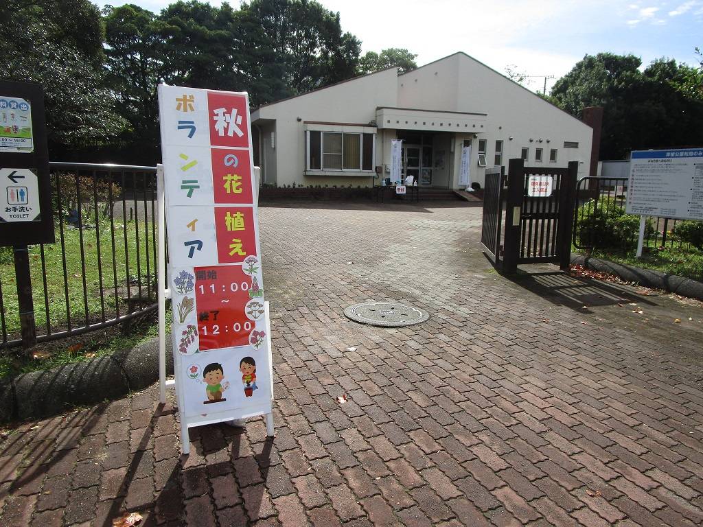 秋の花植え【2025年11月1日】の写真