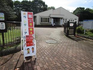 秋の花植え【2025年11月1日】