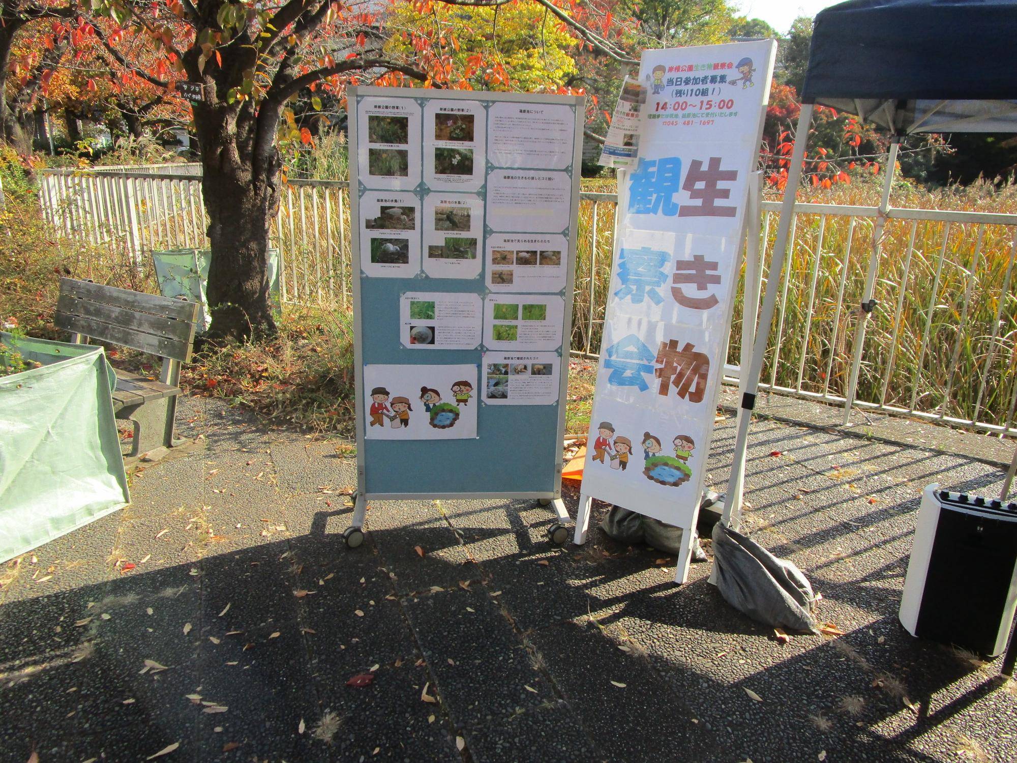 岸根公園生き物観察会【2025年11月15日】の写真
