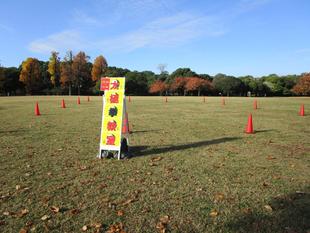 太極拳教室【2025年11月16日】