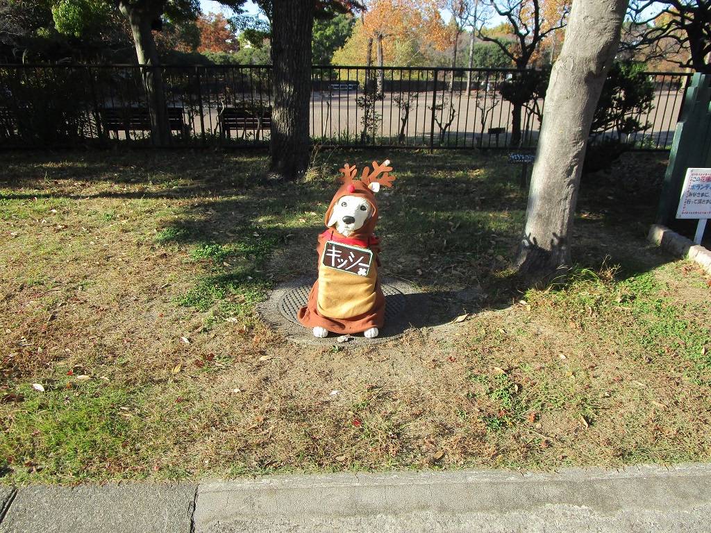 クリスマスの飾り付け【2025年11月17日】の写真