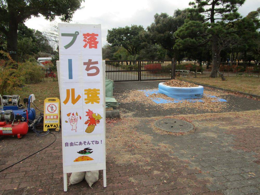 落ち葉プール登場！！の写真