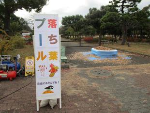 落ち葉プール登場！！