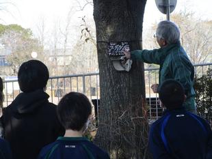 樹名板を作ろう【2026年1月27日】