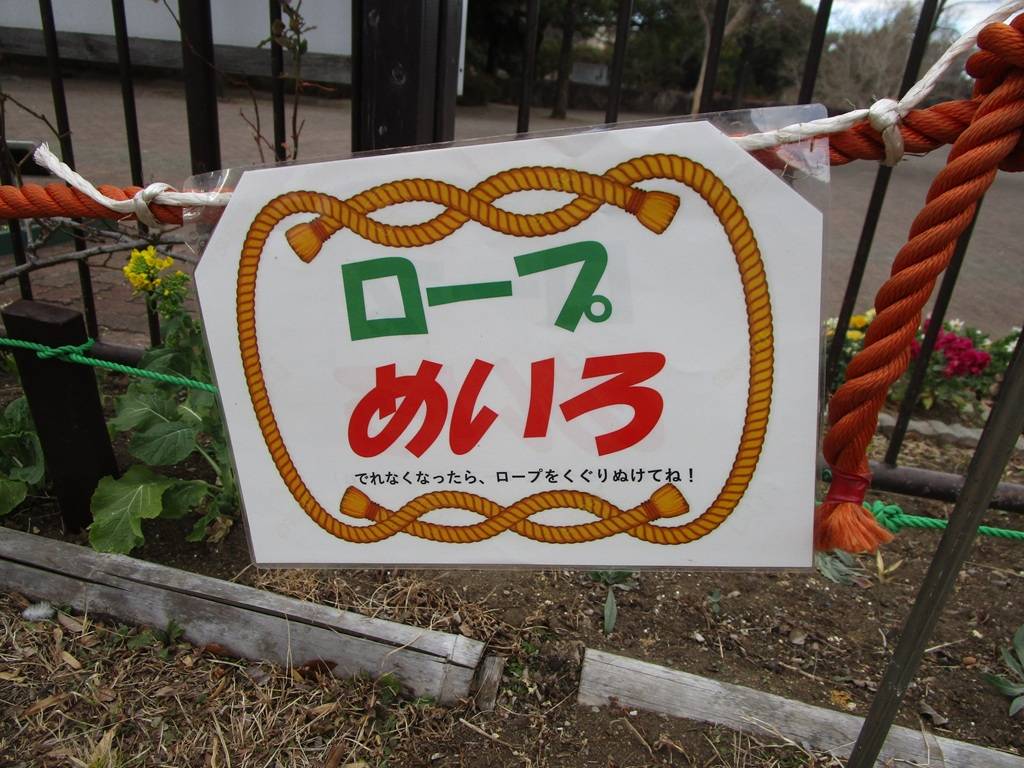  ロープめいろ再開の写真