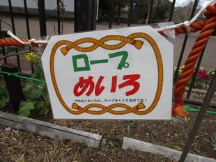  ロープめいろ再開