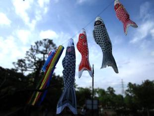 寄贈していただきました。