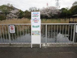 篠原池から始まる自然観察会【2026年4月4日】