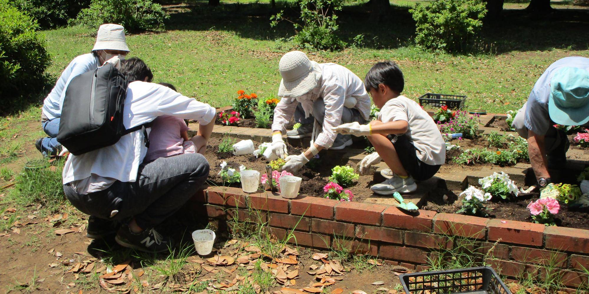 公園を彩るお手伝いをしてみませんか？【2026年6月13日】の写真