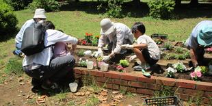 公園を彩るお手伝いをしてみませんか？【2026年6月13日】