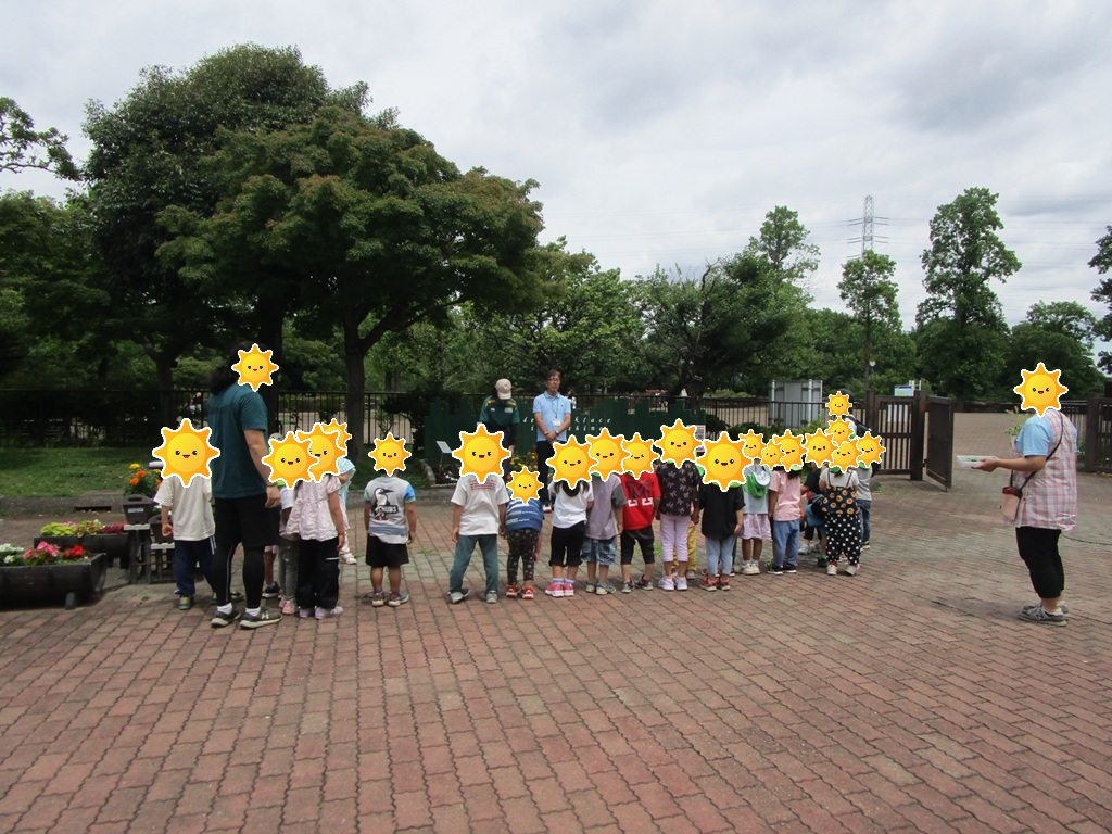 自然あそび会【2026年6月23日】の写真