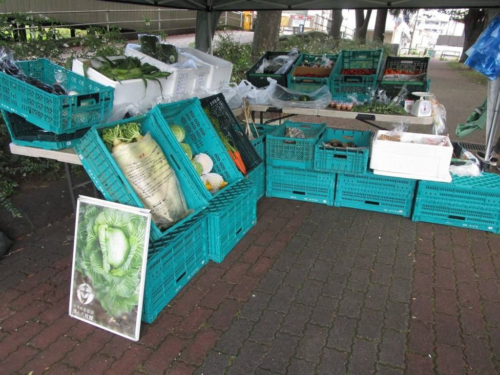 地産地消マルシェ【2026年7月11日】の写真