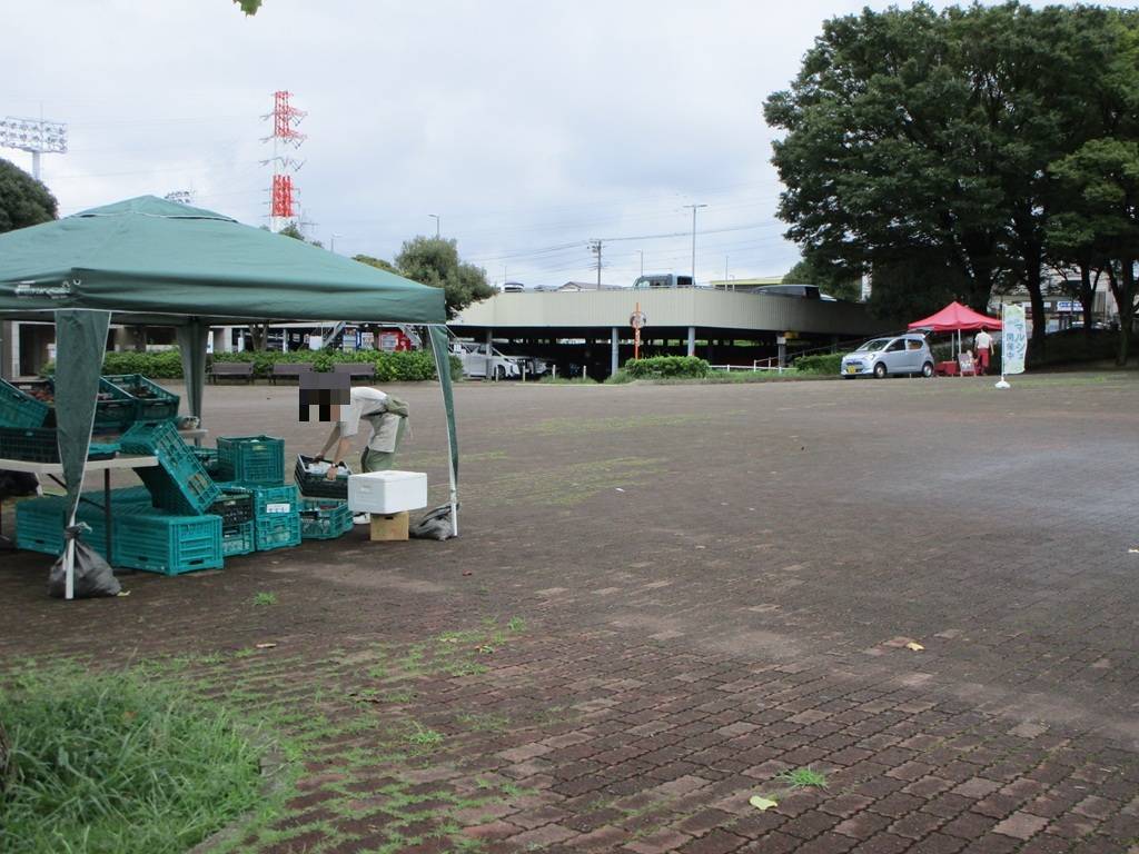 地産地消マルシェ【2026年9月12日】の写真