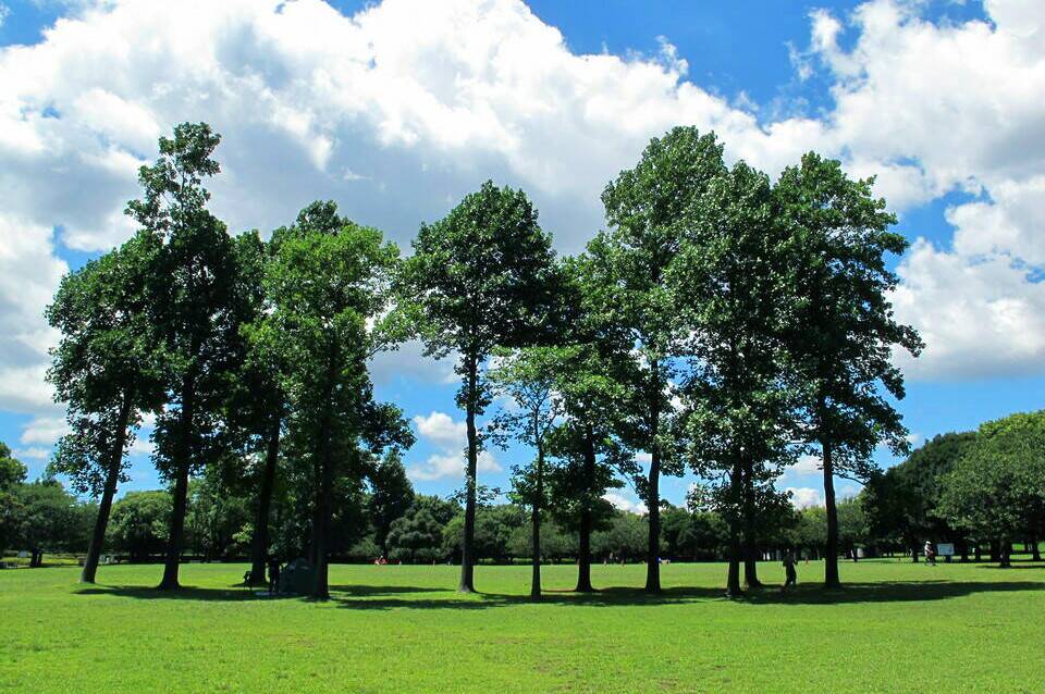 岸根公園_ひょうたん原っぱ.jpg