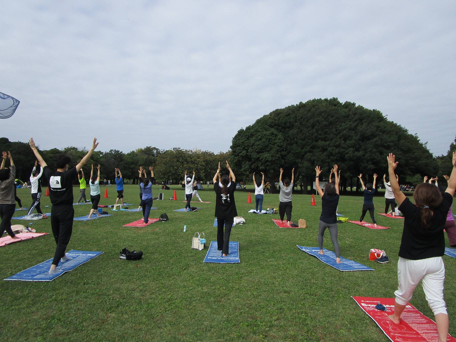 青空ヨガ (2).jpg