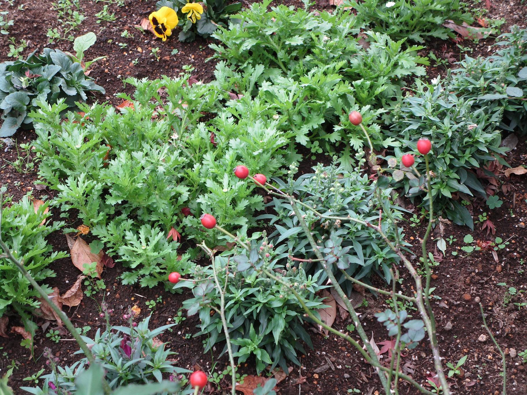 ガーデンネックレス (3).jpg