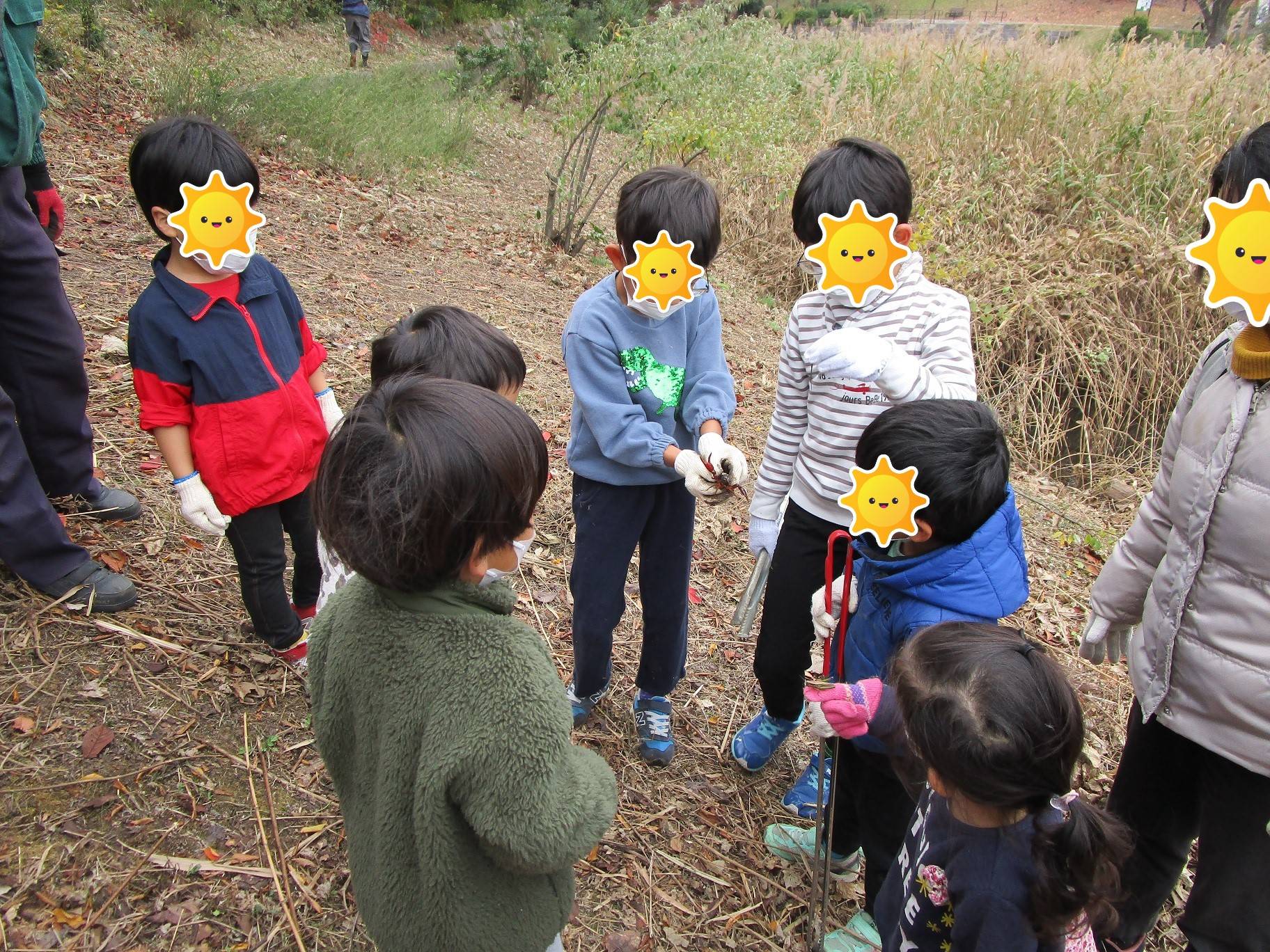 生物観察 (5).jpg