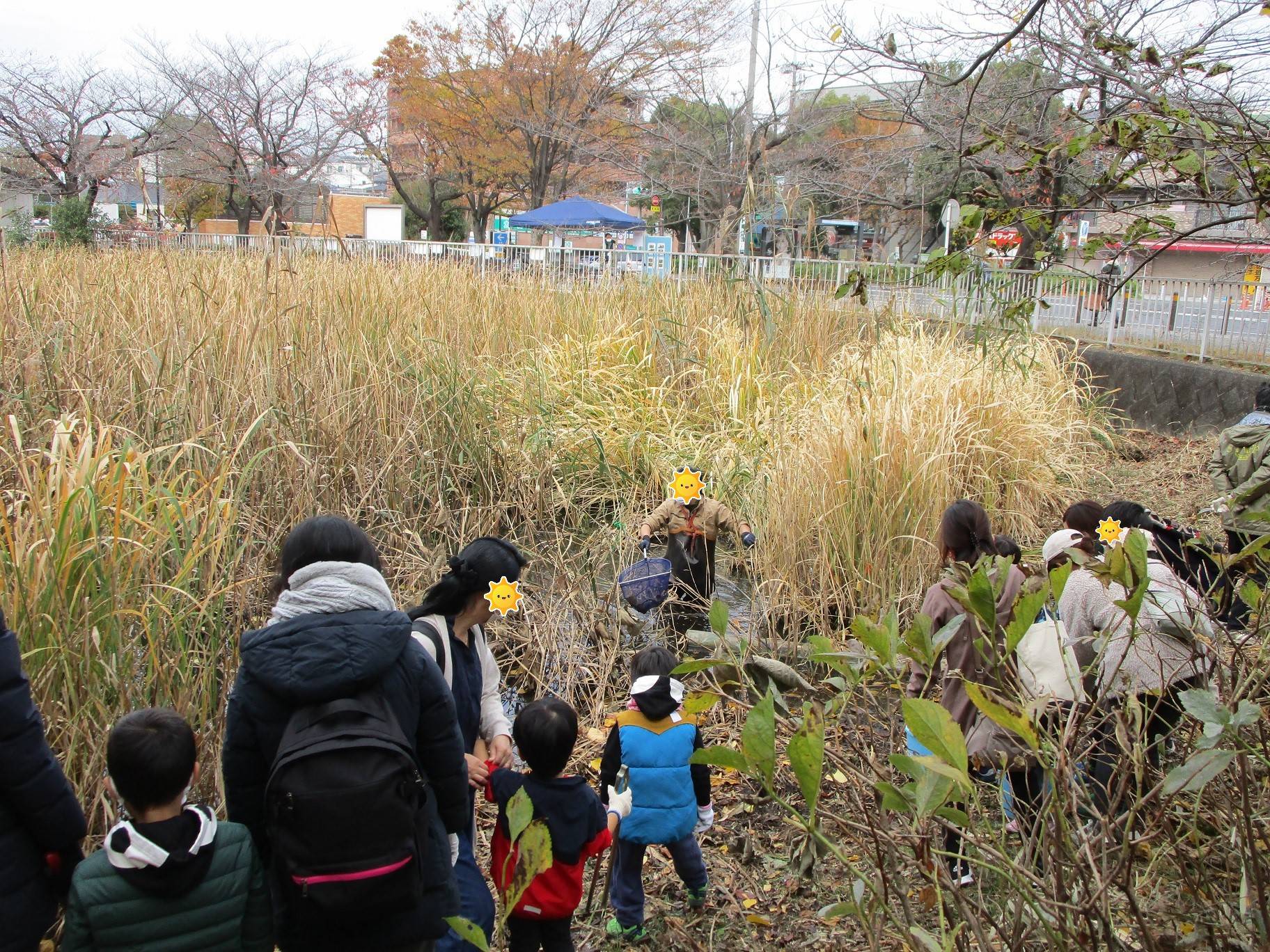 生物観察 (4).jpg