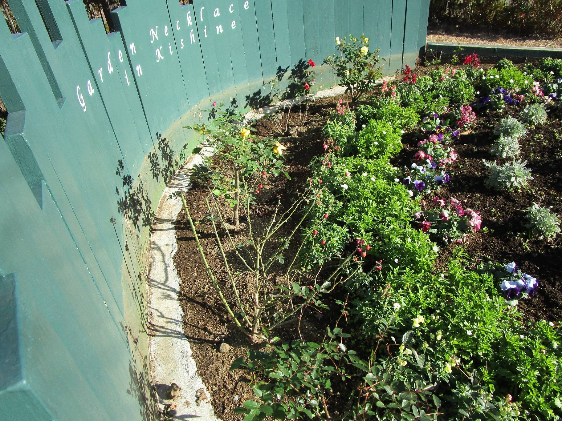 ローズヒップ (3).jpg