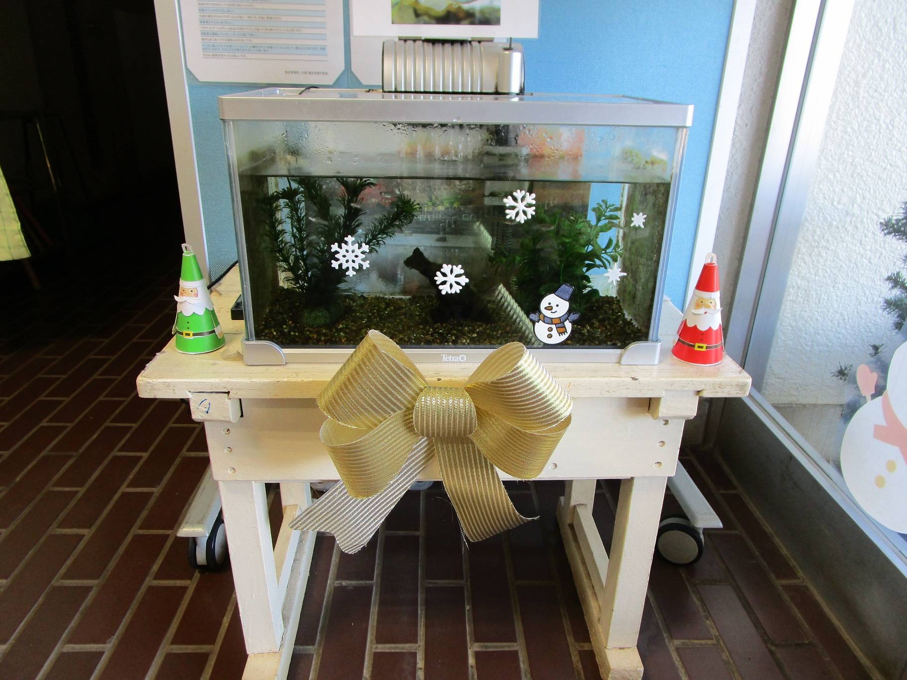 クリスマス (4).jpg