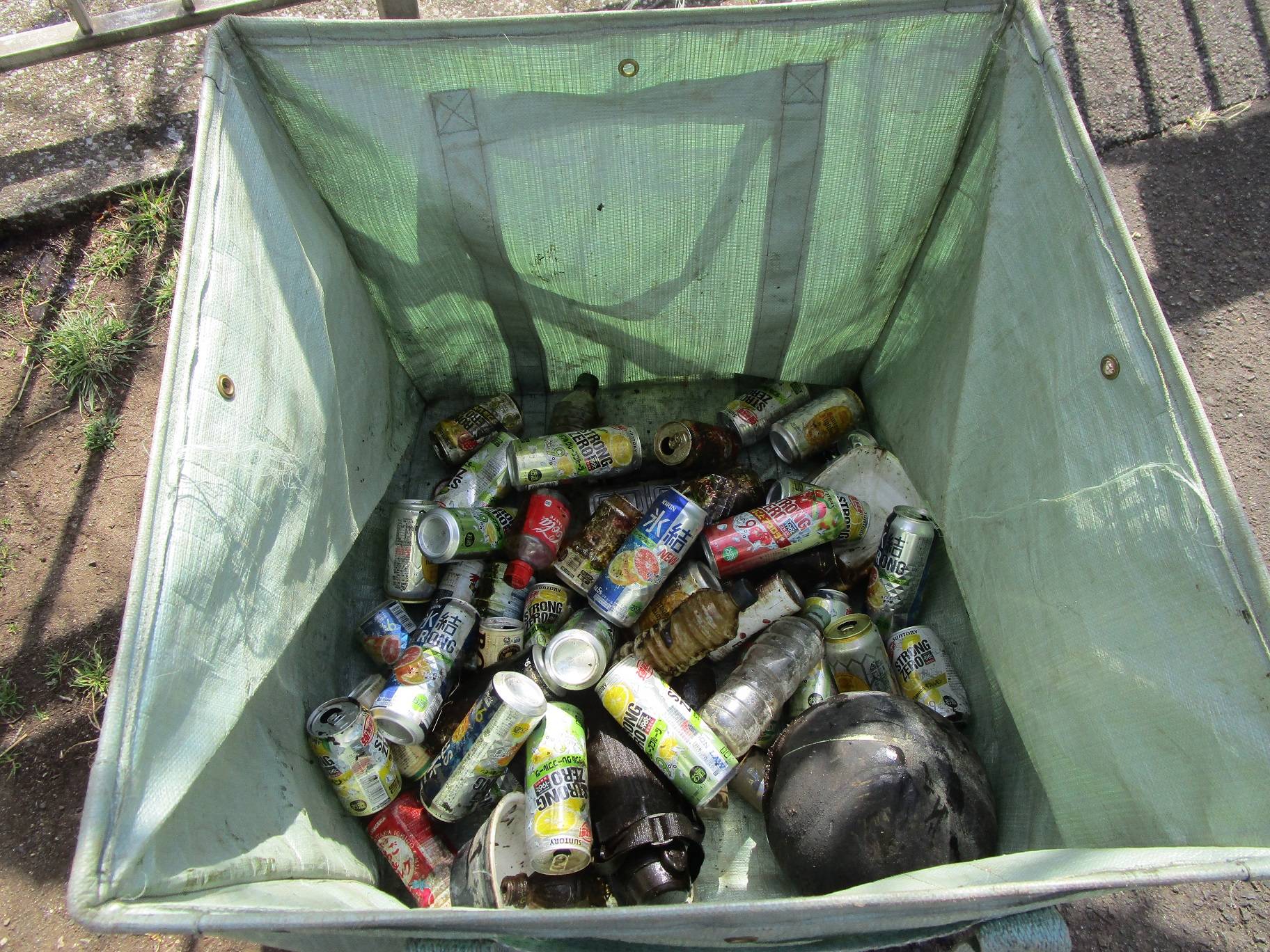 雑草除去とゴミ拾い (4).jpg