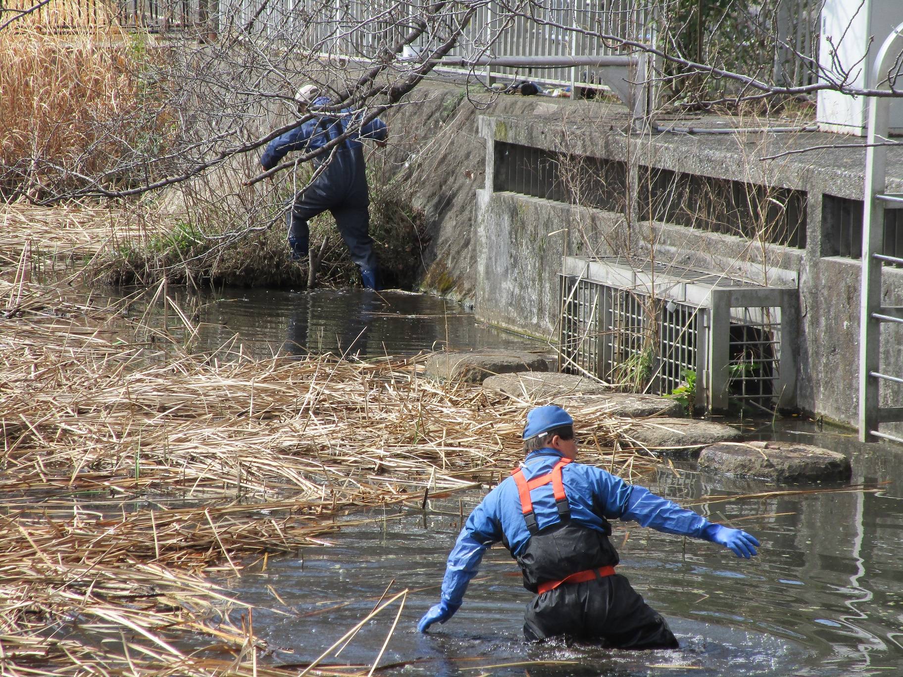 雑草除去とゴミ拾い (3).jpg