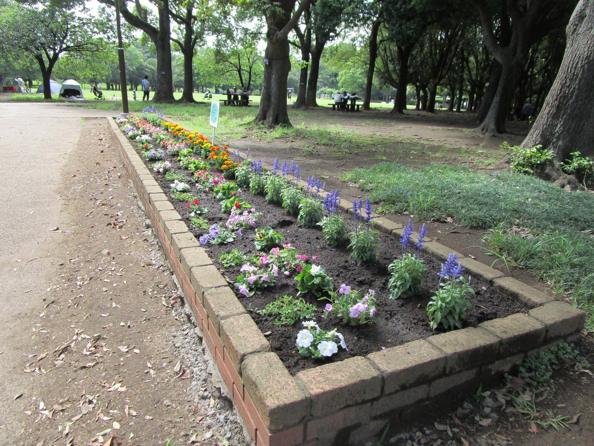 0604花壇④.jpg
