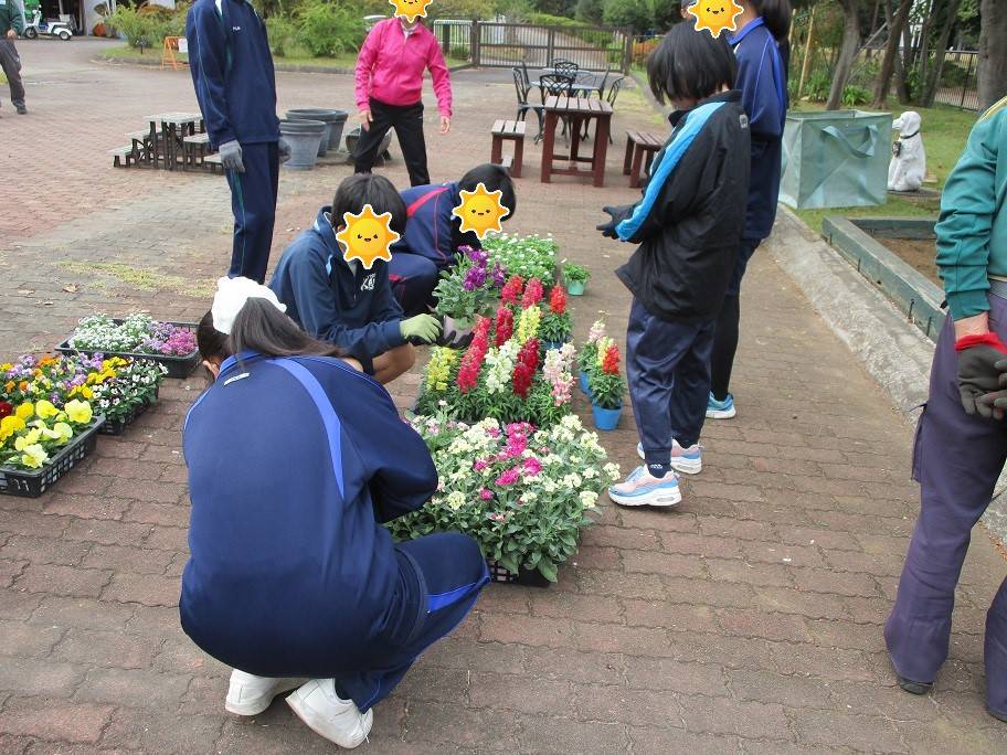 花植えの写真 (2).jpg