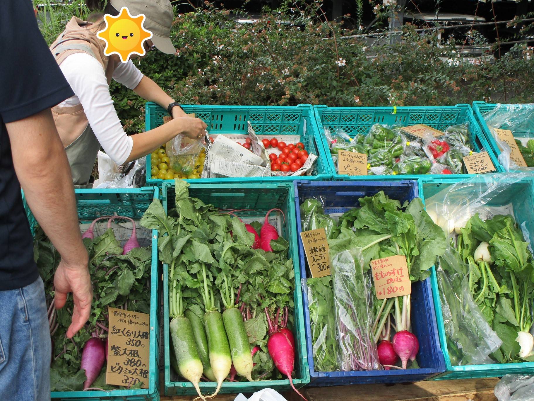 マルシェの写真 (2).jpg