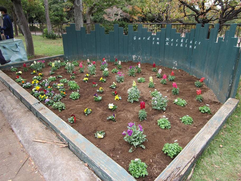 花植えの写真 (5).jpg