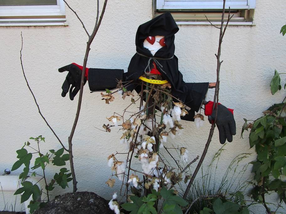 ハロウィン (3).jpg