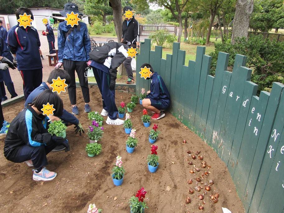 花植えの写真 (3).jpg