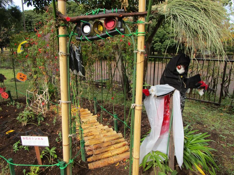 花トンネルの写真 (3).jpg