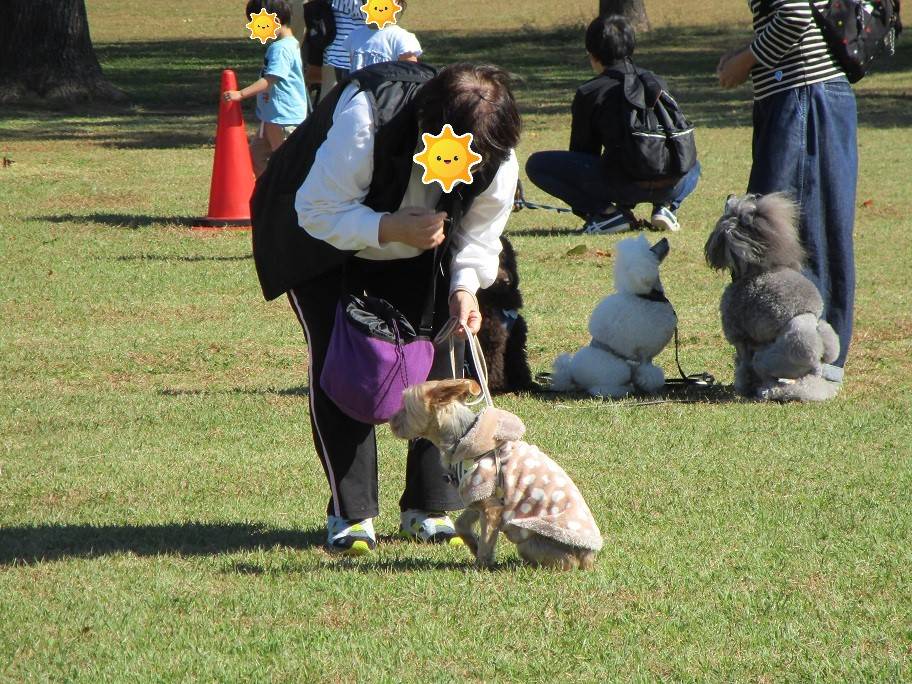 愛犬マナー防災の写真 (5).jpg