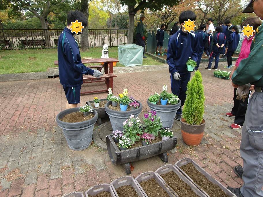 花植えの写真 (4).jpg