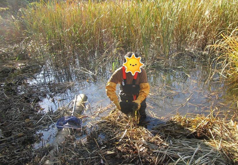 生き物観察会 (2).jpg