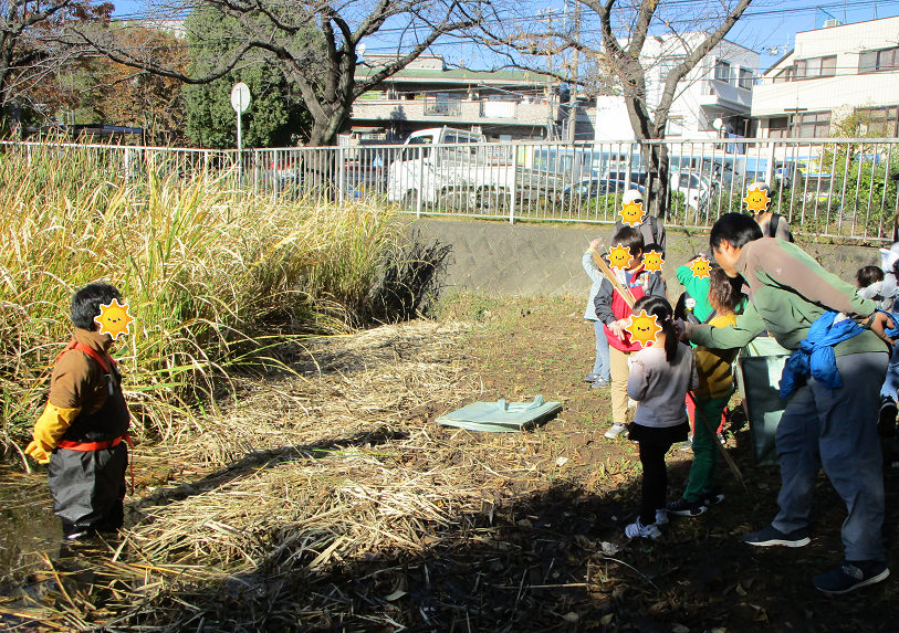 生き物観察会 (2).png