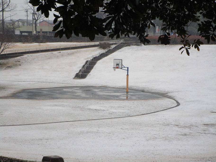 雪景色の写真 (2).jpg