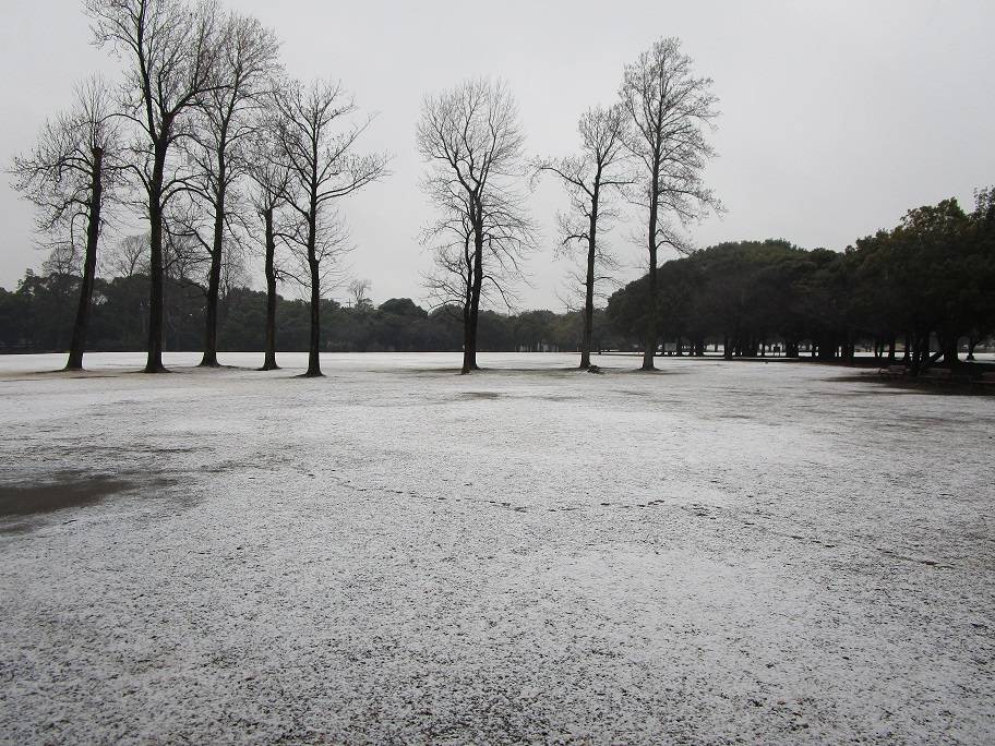雪景色の写真 (4).jpg