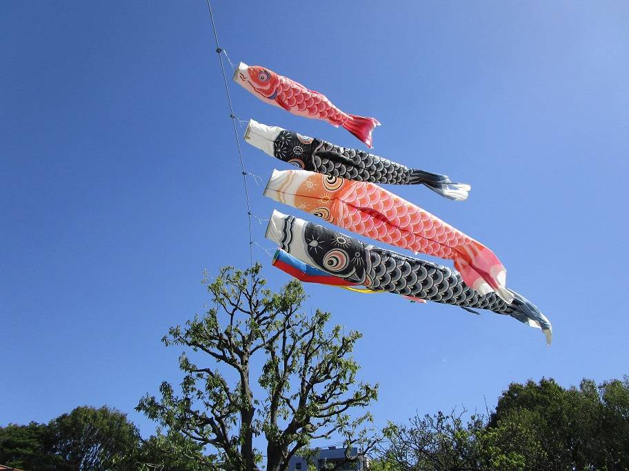 鯉のぼり (2).jpg