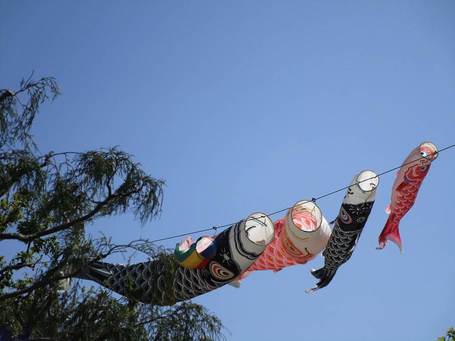 鯉のぼり (3).jpg