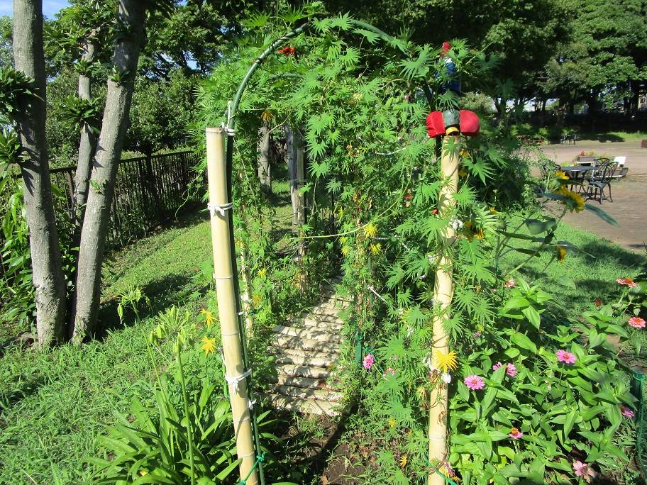 お花のトンネル (4).jpg