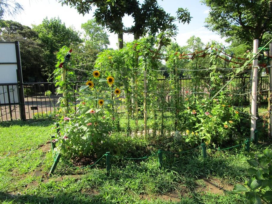 お花のトンネル (3).jpg